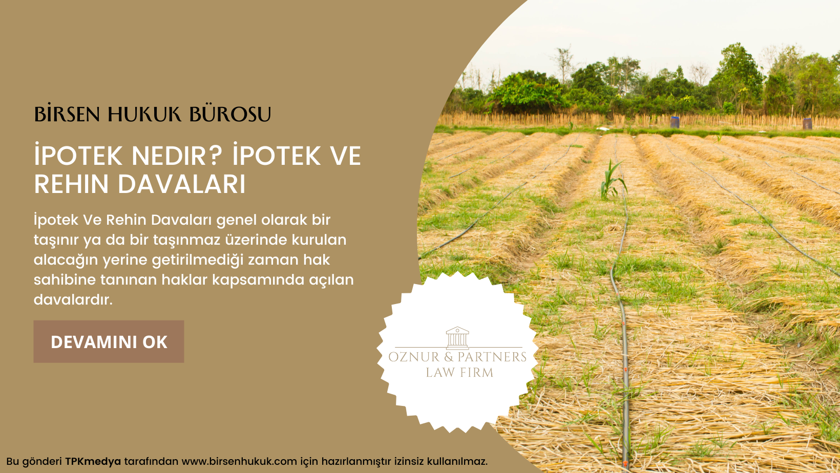 İpotek Ve Rehin Davaları