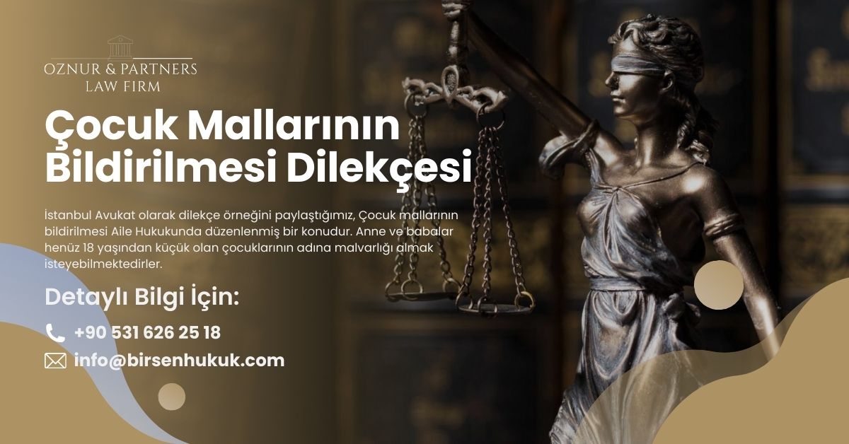 Çocuk Mallarının Bildirilmesi Dilekçesi