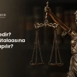 Mütalaa Nedir?