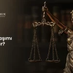 Tapuda Miras Paylaşımı Nasıl Yapılır?